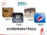 2.1 认识运动 课件 -2024-2025学年八年级物理教科版（2024）上册