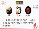 3.2 探究乐音的特性 课件 -2024-2025学年八年级物理教科版（2024）上册