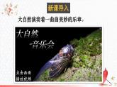 3.5 跨学科实践：中国乐器 课件 -2024-2025学年八年级物理教科版（2024）上册