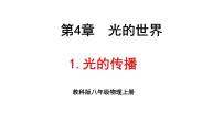 初中物理第四章 光的世界1 光的传播集体备课ppt课件