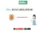 4.2 光的反射定律 课件 -2024-2025学年八年级物理教科版（2024）上册
