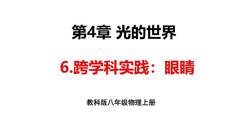 4.6 跨学科实践：眼睛 课件 -2024-2025学年八年级物理教科版（2024）上册01