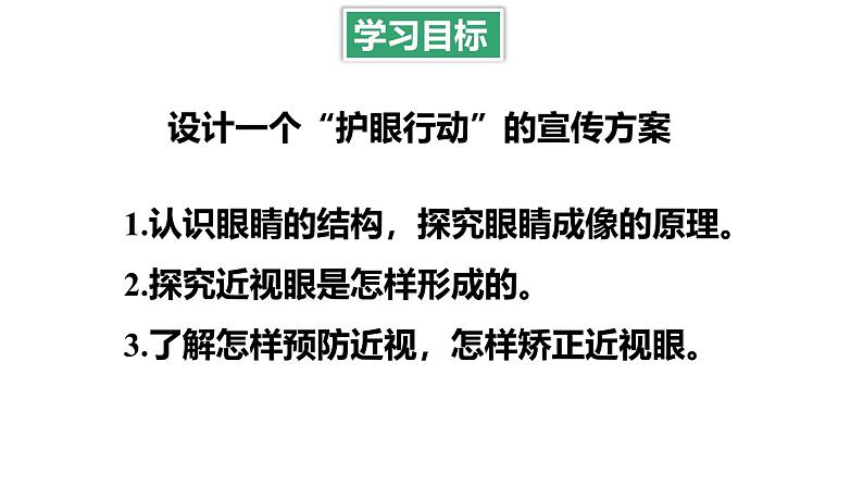 4.6 跨学科实践：眼睛 课件 -2024-2025学年八年级物理教科版（2024）上册02