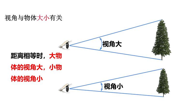 4.7 通过透镜看世界 课件 -2024-2025学年八年级物理教科版（2024）上册08