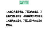 4.8 走进彩色世界 课件 -2024-2025学年八年级物理教科版（2024）上册