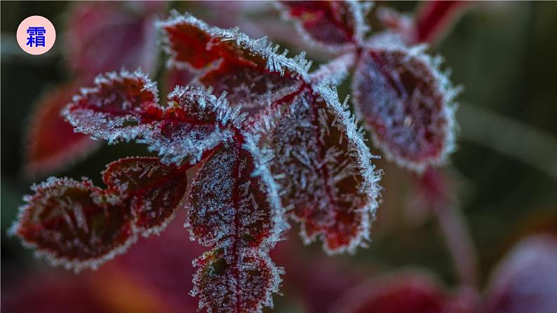 5.1 物态变化与温度 课件 -2024-2025学年八年级物理教科版（2024）上册05