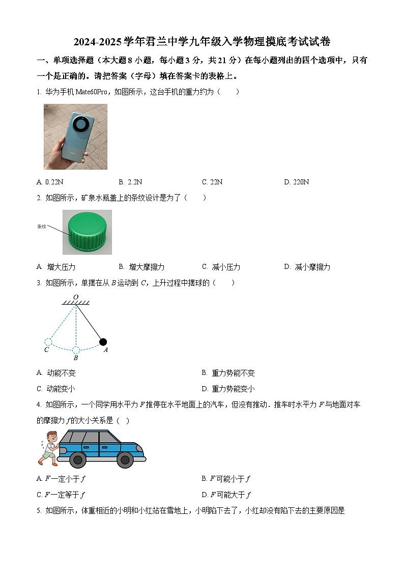 广东省佛山市君兰中学2024-2025学年九年级上学期入学摸底考试物理试题（原卷版）第1页