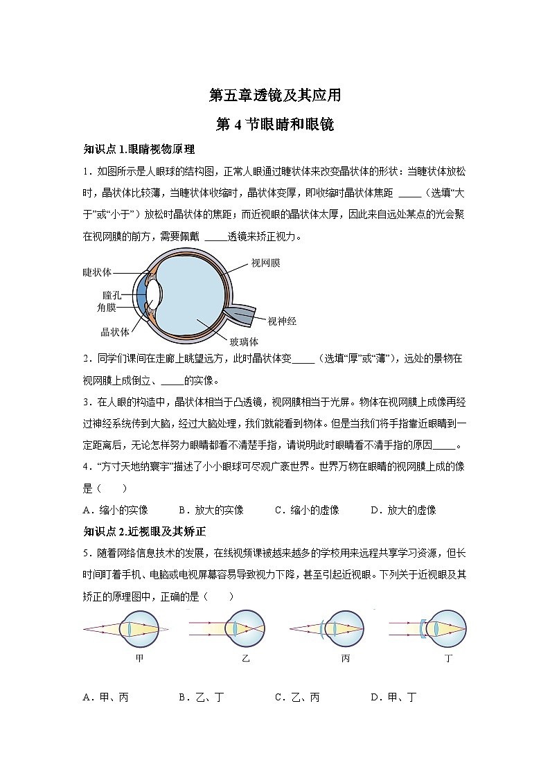 随堂练习课课练八年级上物理试题（人教版）第五章透镜及其应用第四节眼睛和眼镜含解析答案01