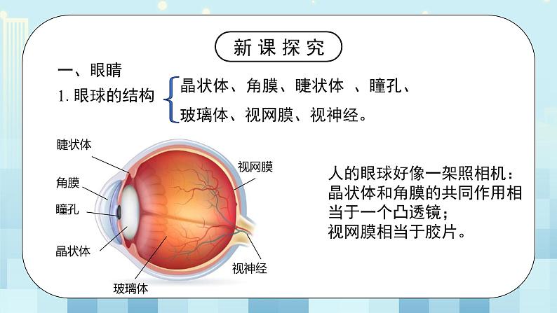 第五章《四 爱眼宣传公益行》课件+教案05