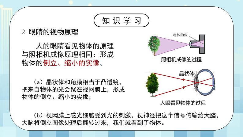 第五章《四 爱眼宣传公益行》课件+教案06