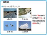 2.1运动与静止（课件）---2024-2025学年北师大版（2024）物理八年级上册