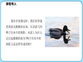 4.2光的反射 第1课时（课件）---2024-2025学年北师大版（2024）物理八年级上册