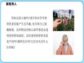 5.1透镜（课件）---2024-2025学年北师大版（2024）物理八年级上册