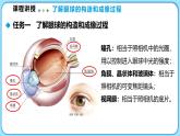 5.4爱眼宣传公益行（课件）---2024-2025学年北师大版（2024）物理八年级上册