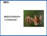 2.3 超声波与次声波（课件）- 2024-2025学年物理沪科版八年级全一册