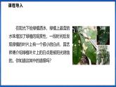 第四章 跨学科实践 探究森林火情缘由（课件）- 2024-2025学年物理沪科版八年级全一册
