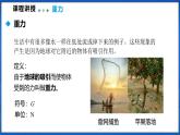 6.3 来自地球的力（课件）- 2024-2025学年物理沪科版八年级全一册