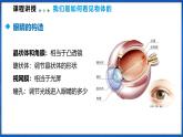 4.3 神奇的眼睛（课件）- 2024-2025学年物理沪科版八年级全一册