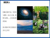 5.1 质量（课件）- 2024-2025学年物理沪科版八年级全一册