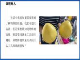 5.2 测量：物体的质量（课件）- 2024-2025学年物理沪科版八年级全一册