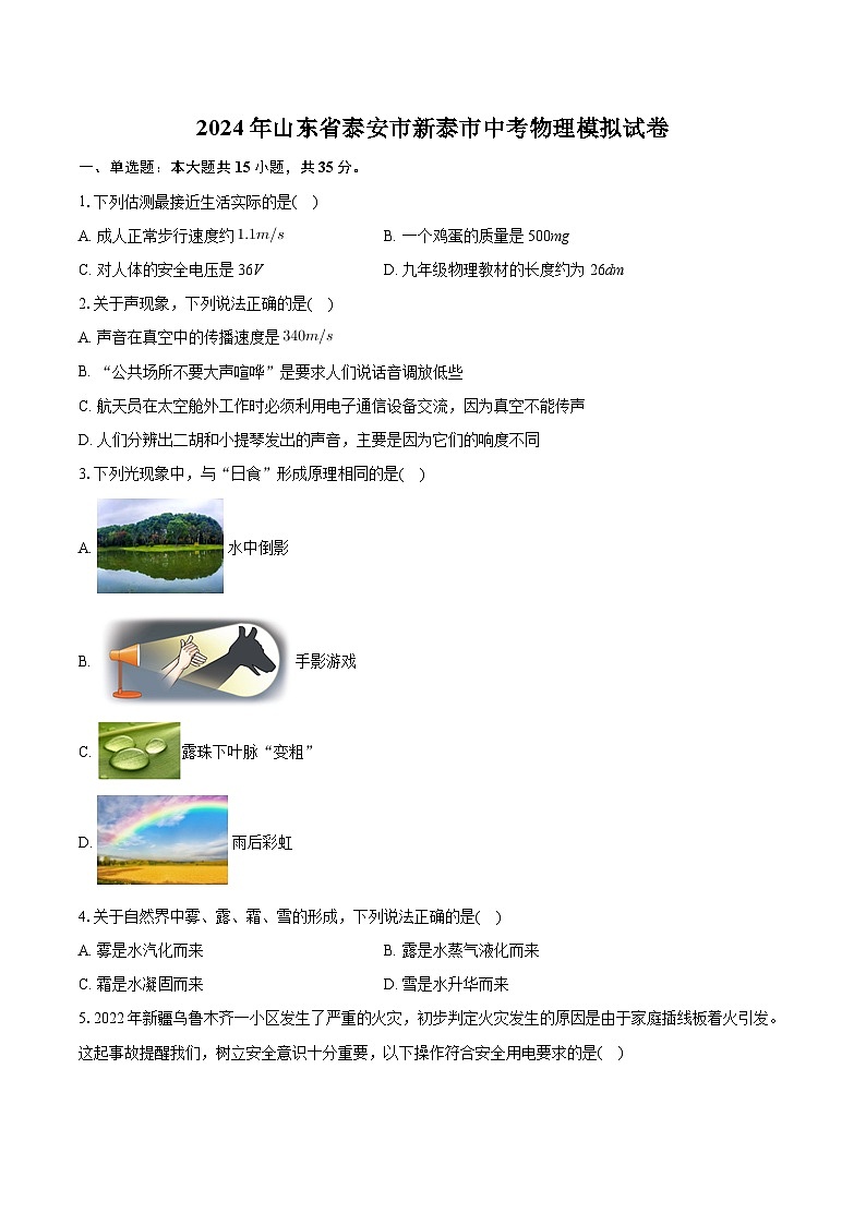 2024年山东省泰安市新泰市中考物理模拟试卷第1页