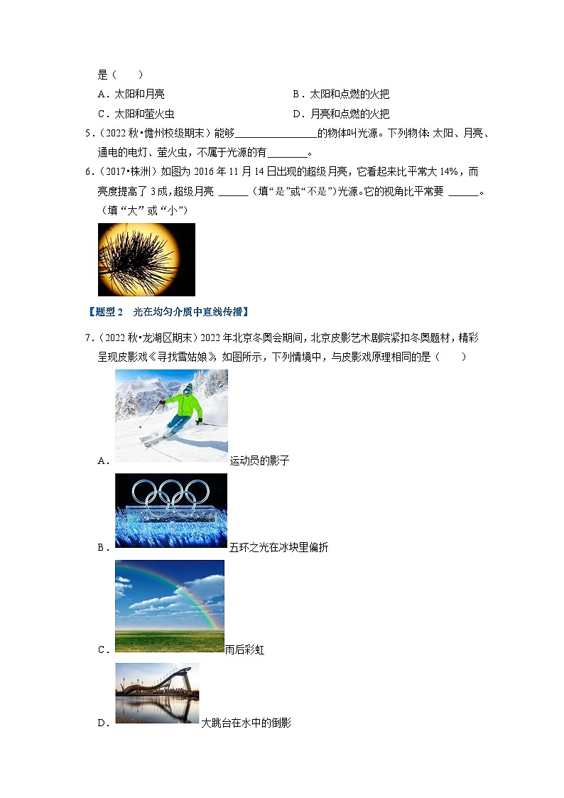 4.1 光的直线传播（专题训练）【四大题型】（学生版）第2页