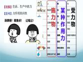 教科版八年级物理下第七章第1节 力 PPT课件（内嵌视频）