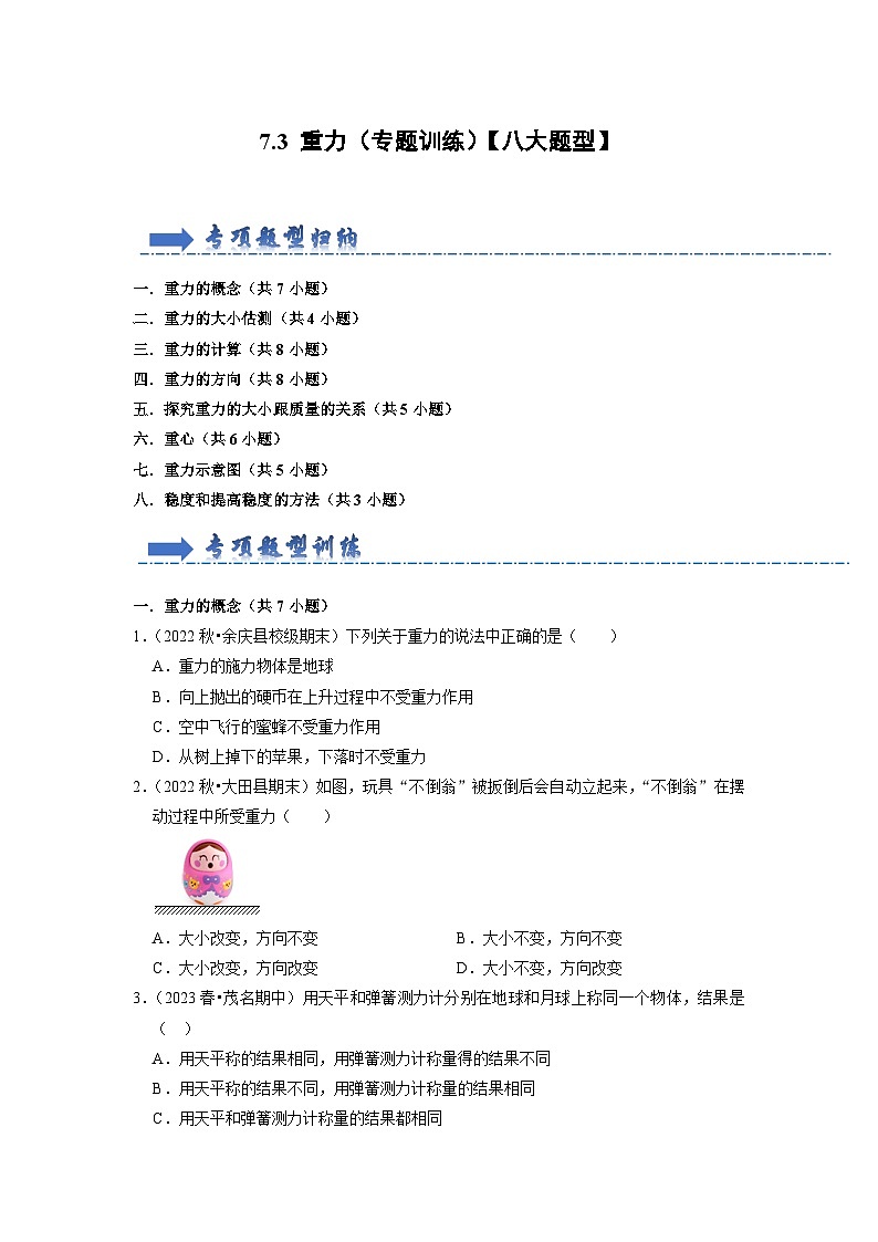 7.3 重力（专题训练）【八大题型】-2024年八年级物理下册讲义（人教版）01