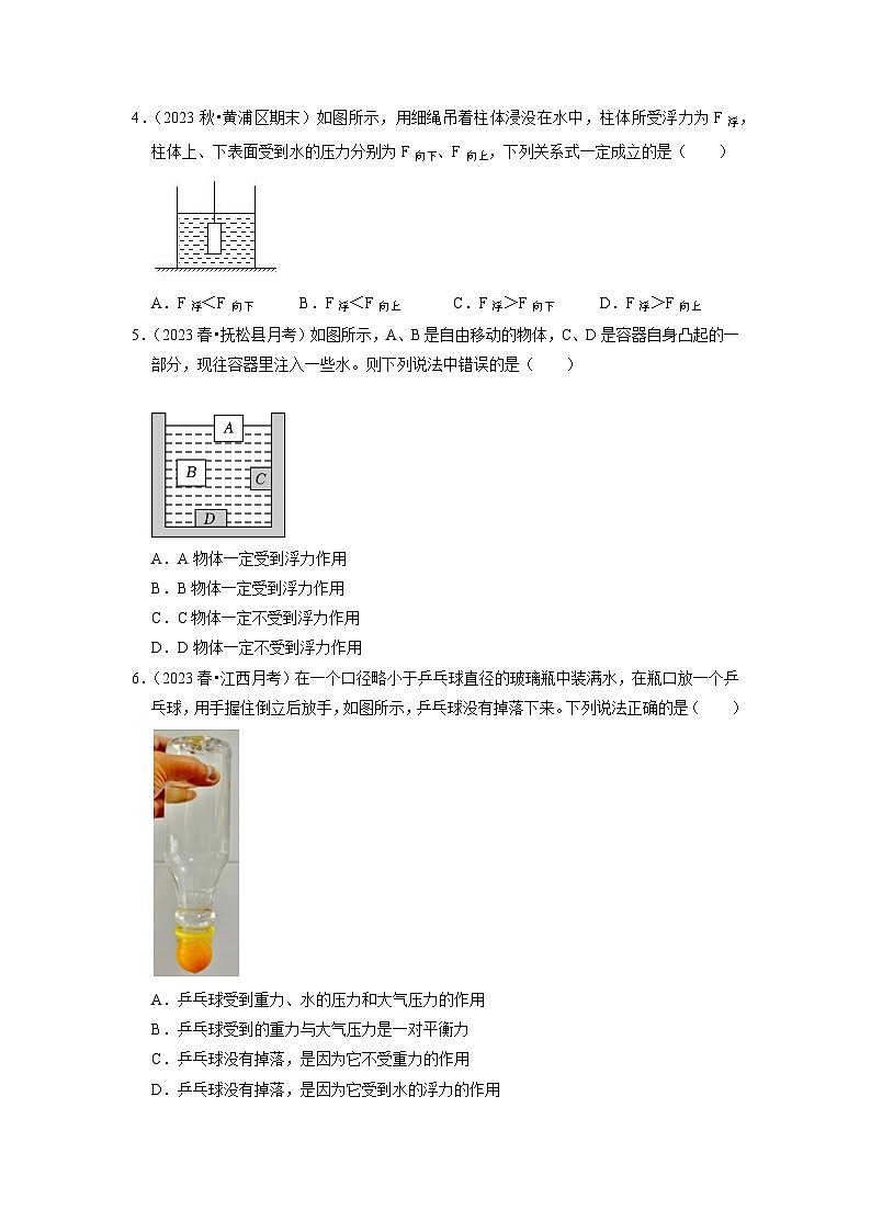 10.1 浮力（专题训练）【二大题型】（原卷版）第2页
