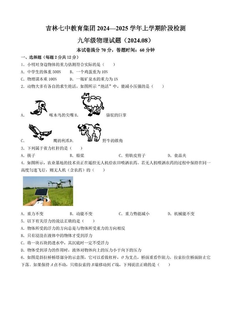 吉林省吉林市第七中学2024-2025学年九年级上学期开学考试物理试卷01