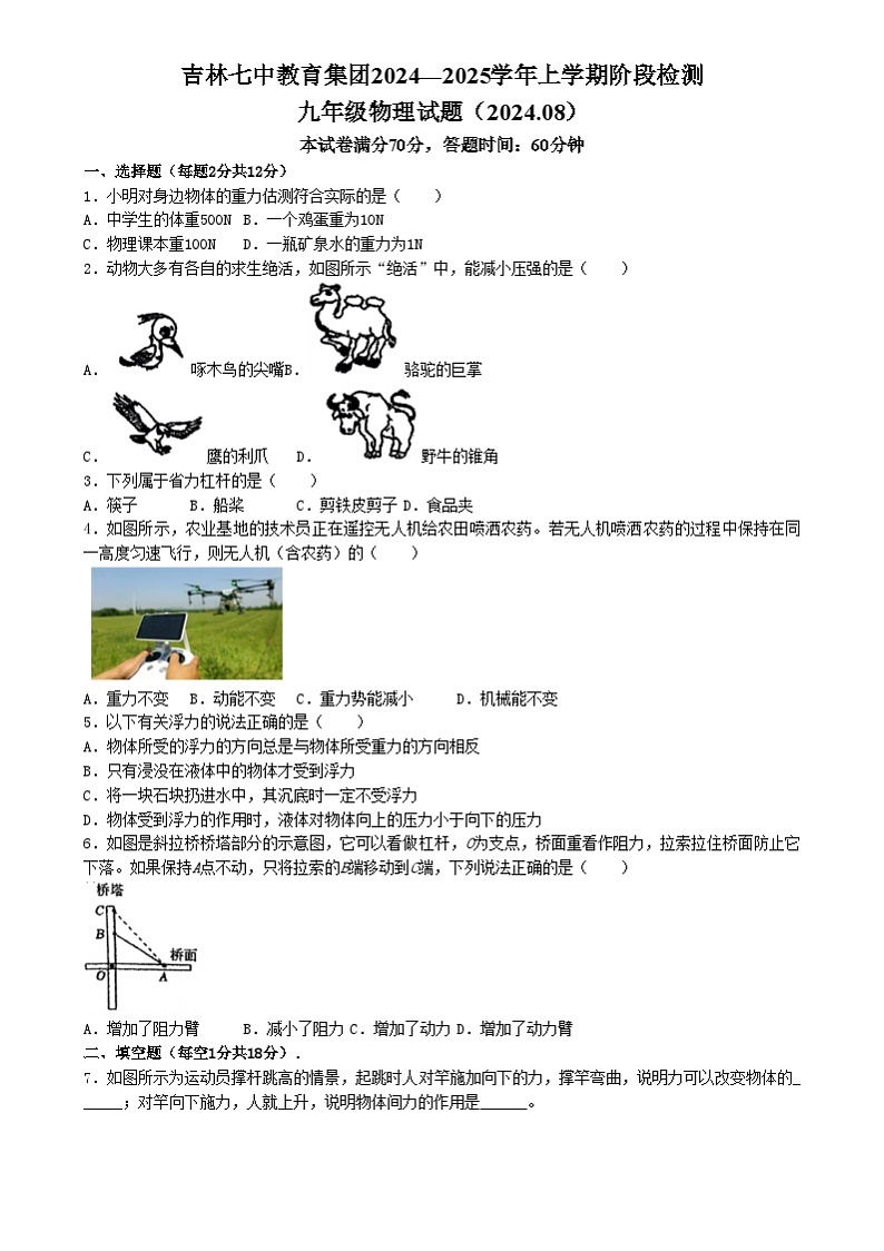 吉林省吉林市第七中学2024-2025学年九年级上学期开学考试物理试卷01
