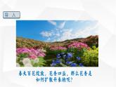 13.1 分子热运动 课件-【精品课】2024-2025学年九年级物理全一册教材配套 课件+练习（人教版）