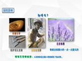 13.1 分子热运动 课件-【精品课】2024-2025学年九年级物理全一册教材配套 课件+练习（人教版）