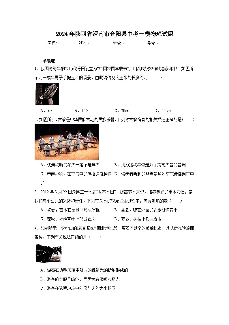 2024年陕西省渭南市合阳县中考一模物理试题（附答案解析）01