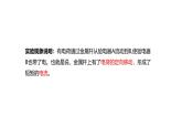 鲁科版（五四制） 九年级上册11.2电流和电路 课件