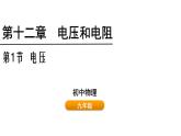 鲁科版（五四制） 九年级上册12.1电压 课件