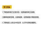 魯科版（五四制） 九年級上冊14.1 電能  課件