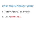 鲁科版（五四制） 九年级上册14.5 焦耳定律  课件