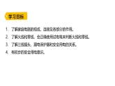 鲁科版（五四制） 九年级上册15.1 家庭电路  课件