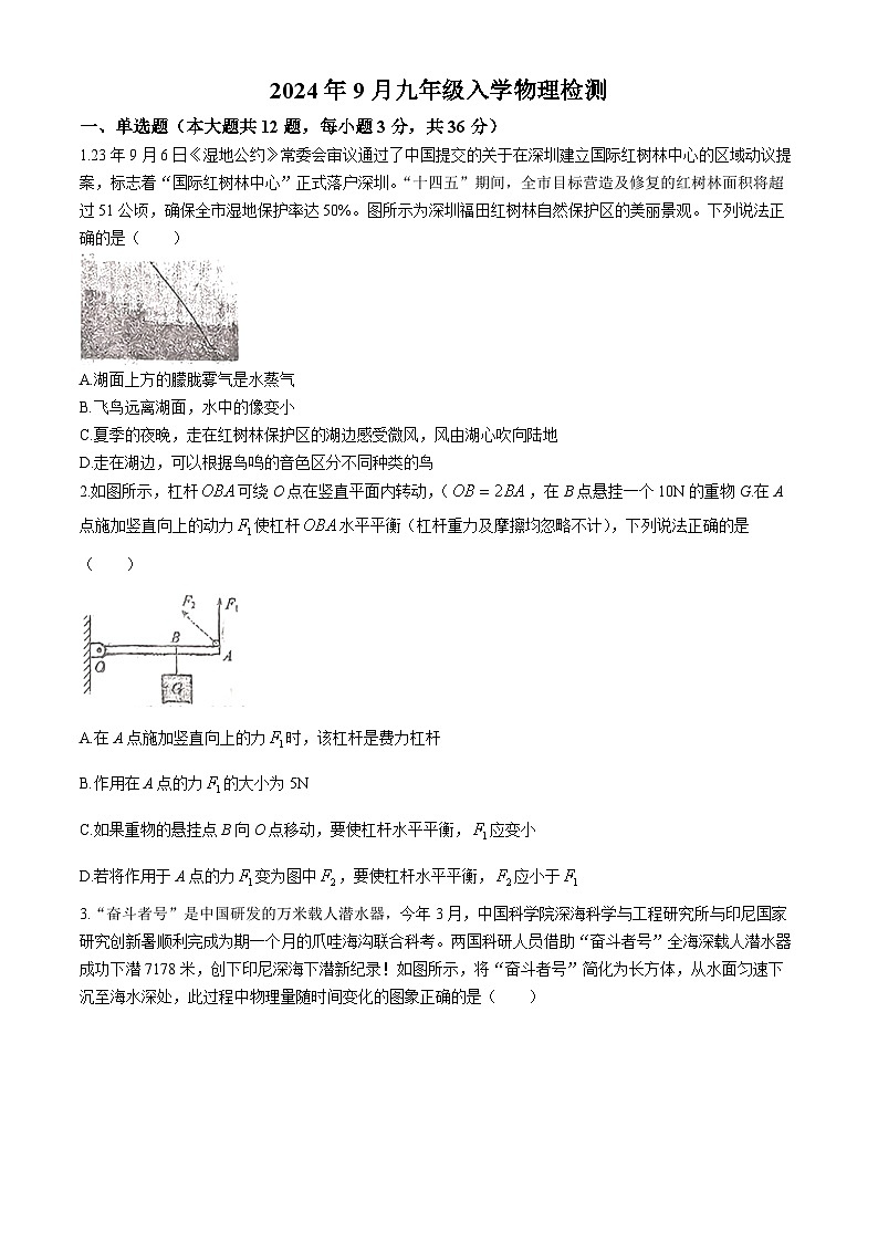 湖南省洞口县思源实验学校2024-2025学年上学期九年级入学物理检测试题+(无答案)第1页