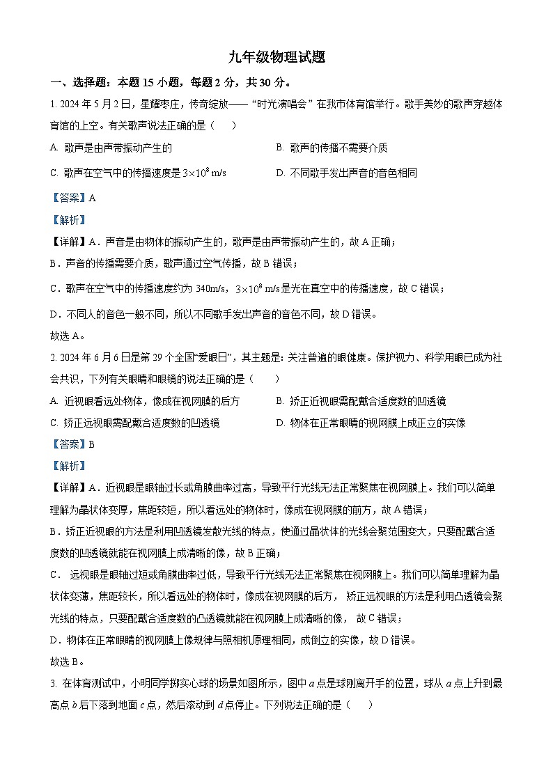 精品解析：2024年山东省枣庄市中考物理试题（解析版）01