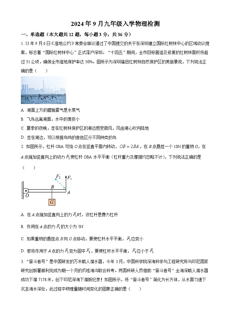 湖南省洞口县思源实验学校2024-2025学年九年级上学期入学检测物理试题（原卷版+解析版）01