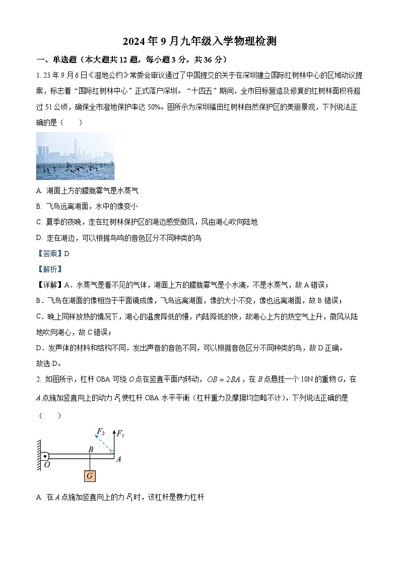 湖南省洞口县思源实验学校2024-2025学年九年级上学期入学检测物理试题（原卷版+解析版）01