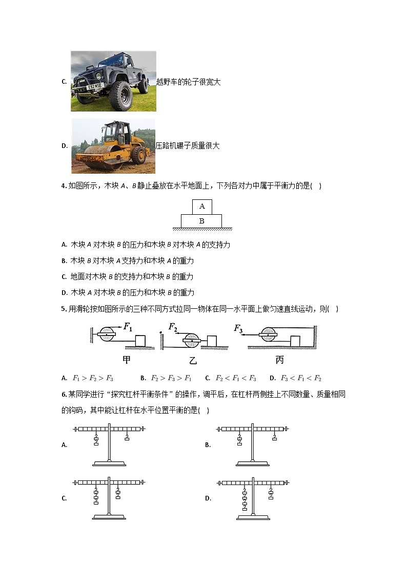 [物理][期末]安徽省马鞍山市2023-2024学年八年级下学期期末试卷+02