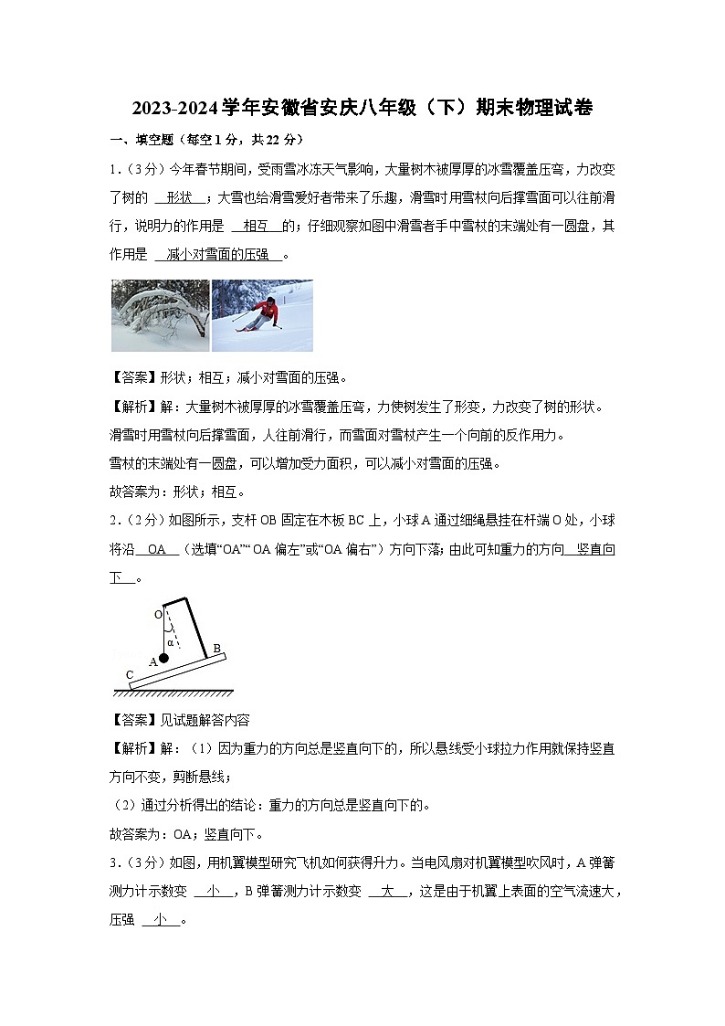 [物理][期末]安徽省安庆市2023-2024学年八年级下学期期末考试试卷01