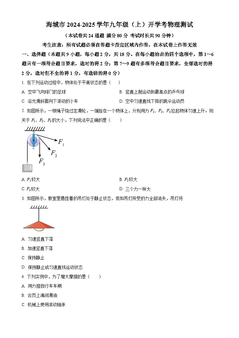 辽宁省鞍山市海城市2024-2025学年九年级上学期开学考试物理试题（原卷版）01