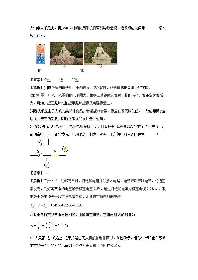[物理]安徽省芜湖市2024年中考模拟试题(解析版)第2页