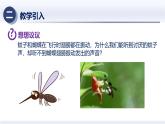 2.2声音的特性（课件+同步练习） 八年级物理上册同步（人教版2024）