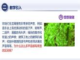 2.2声音的特性（课件+同步练习） 八年级物理上册同步（人教版2024）