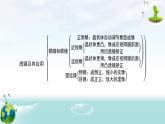 人教版（2024年新版）八年级上册物理第五章 透镜及其应用 章末复习课件